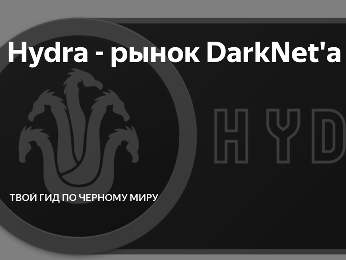 Кракен сайт в тор браузере