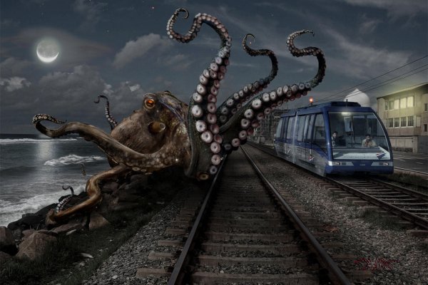 Kraken online
