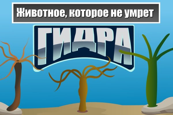 Войти даркнет