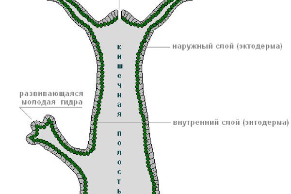 Кракен тор ссылка онион
