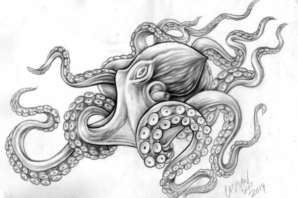 Ссылки зеркала на kraken