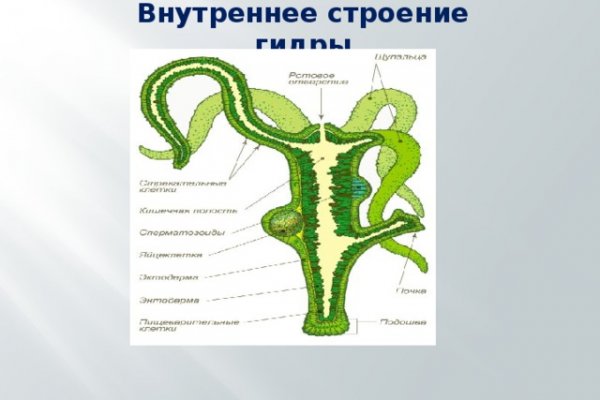 Kraken сайт tor