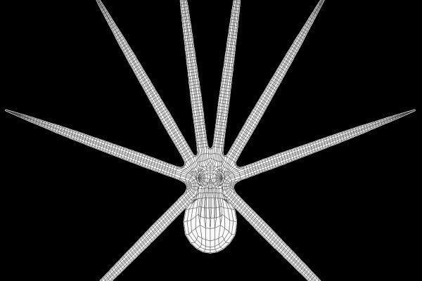 Kraken darknet market ссылка