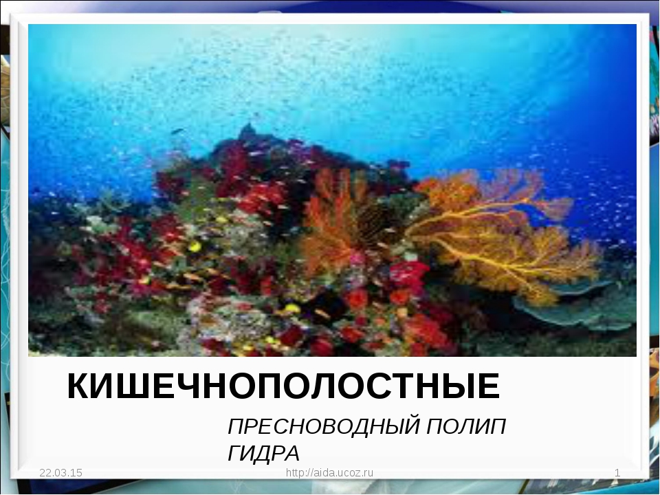 Кракен сайт store